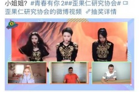 国产视频青,青春记忆中的光影传奇